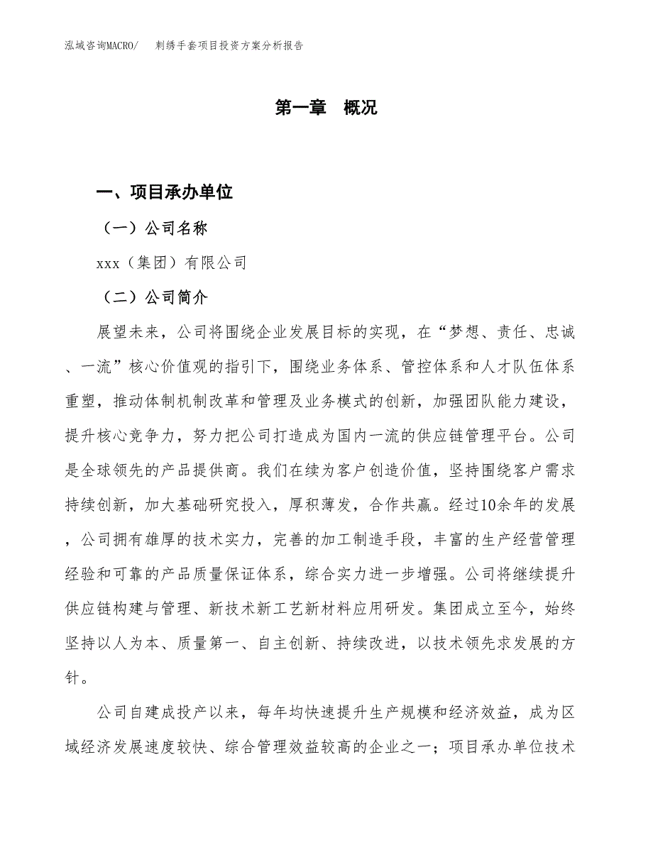 刺绣手套项目投资方案分析报告.docx_第1页