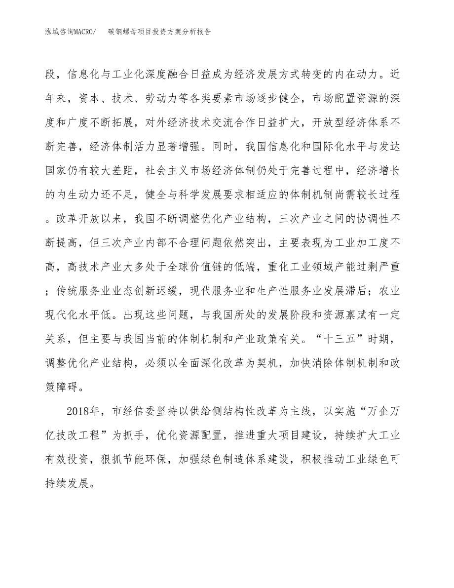 碳钢螺母项目投资方案分析报告.docx_第5页