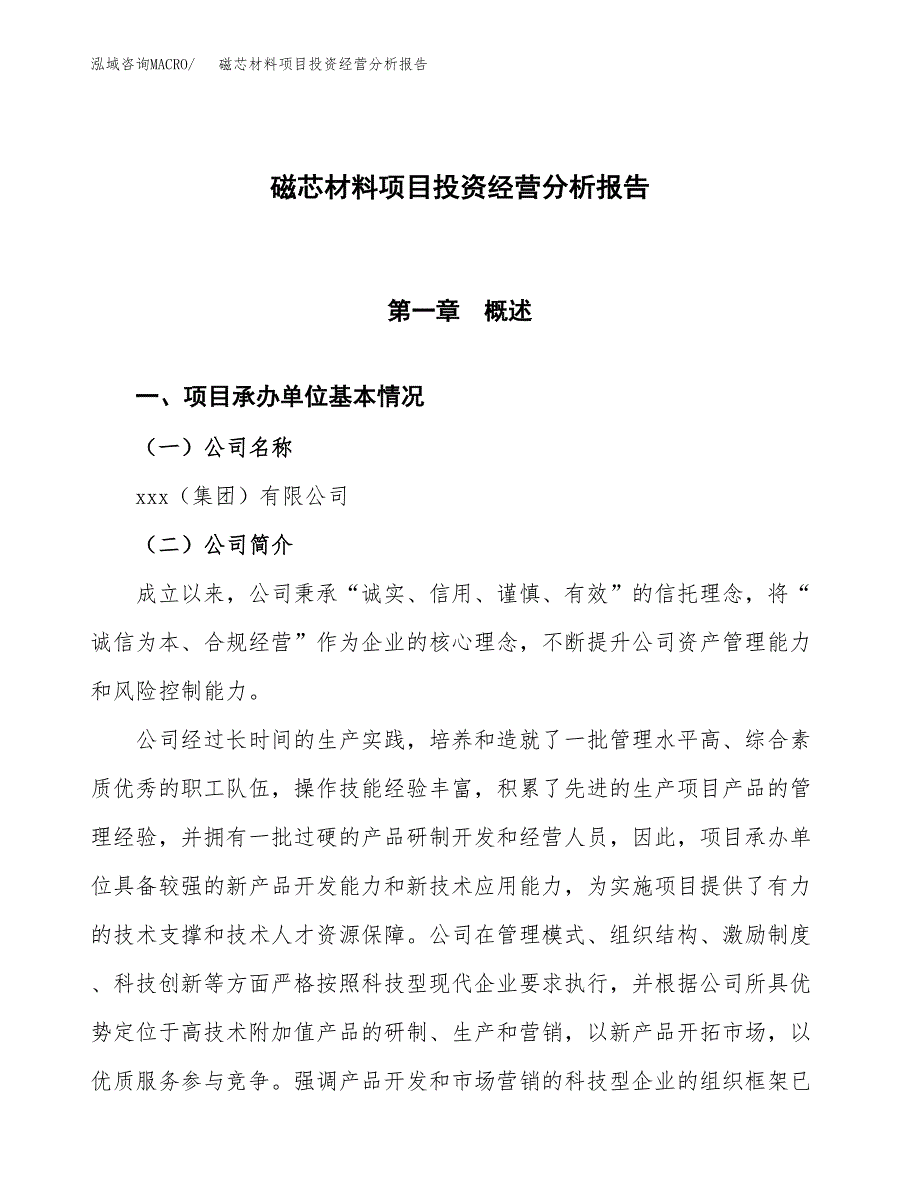 磁芯材料项目投资经营分析报告模板.docx_第1页