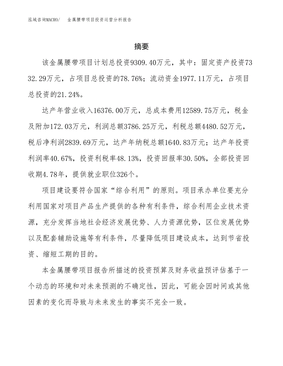 金属腰带项目投资运营分析报告参考模板.docx_第2页