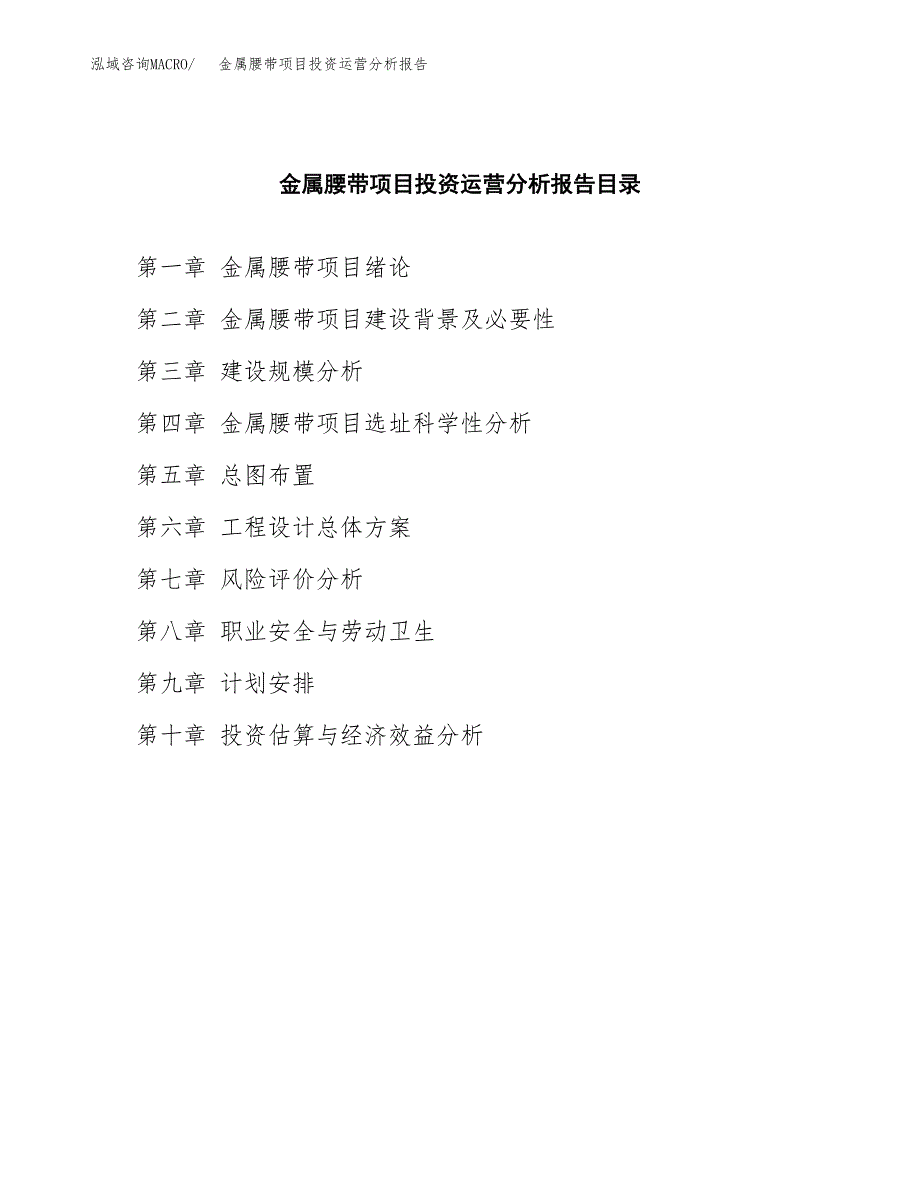 金属腰带项目投资运营分析报告参考模板.docx_第3页