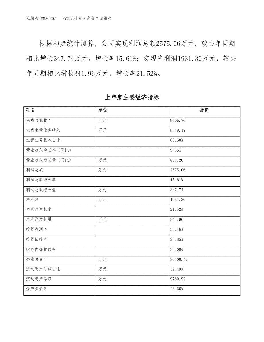 PVC板材项目资金申请报告 (1)_第5页