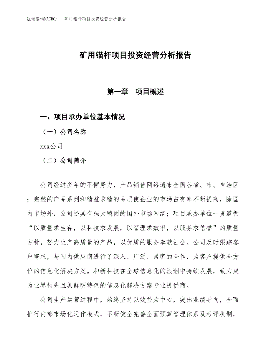 矿用锚杆项目投资经营分析报告模板.docx_第1页