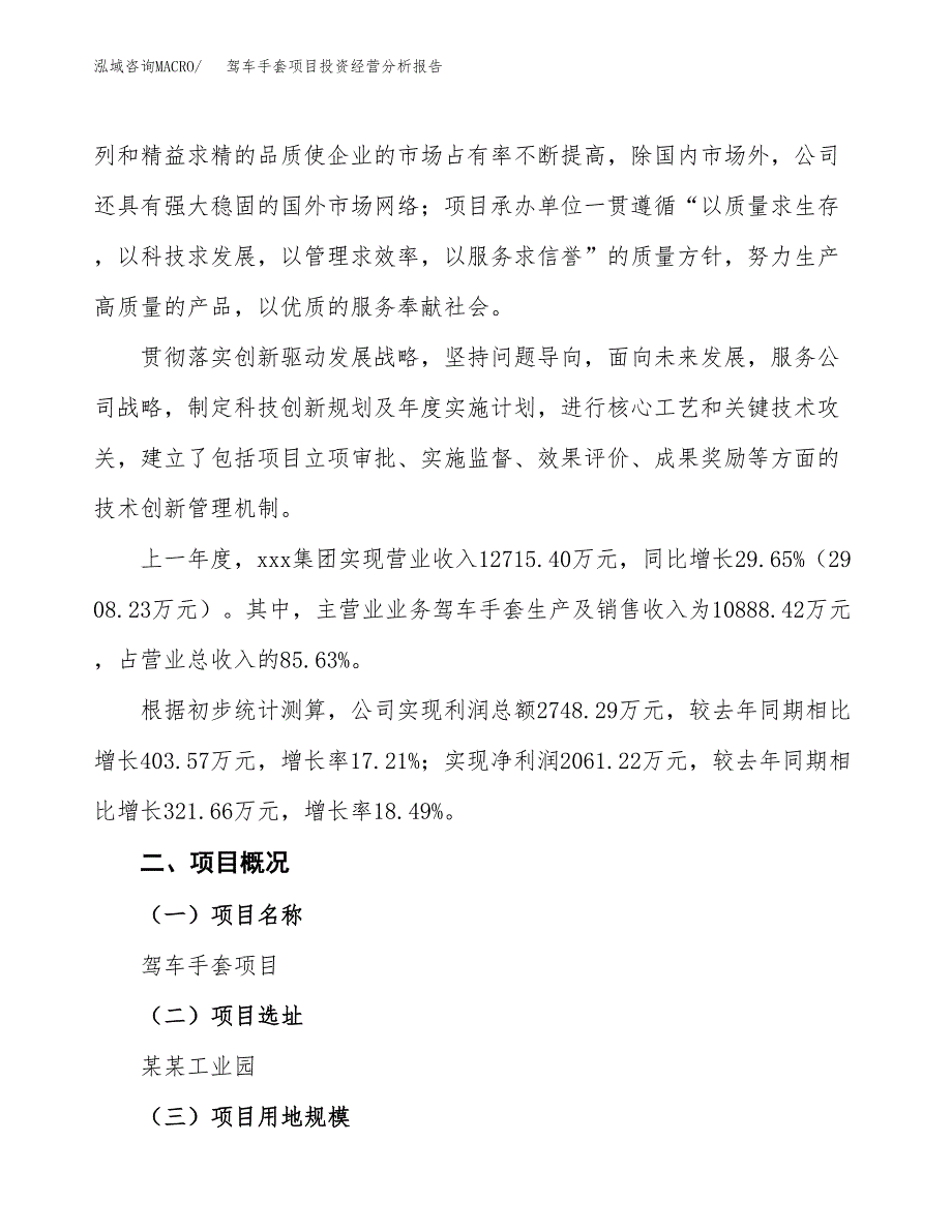 驾车手套项目投资经营分析报告模板.docx_第2页