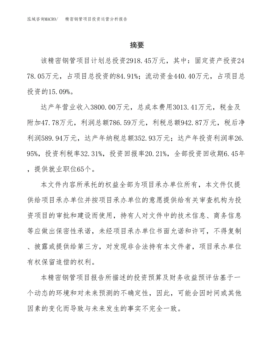 精密钢管项目投资运营分析报告参考模板.docx_第2页