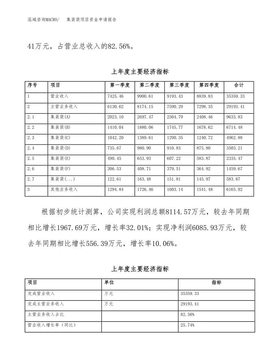 集装袋项目资金申请报告 (1)_第5页