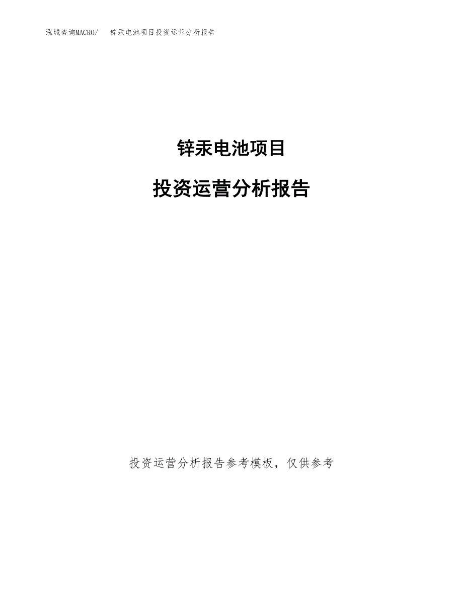 锌汞电池项目投资运营分析报告参考模板.docx_第1页