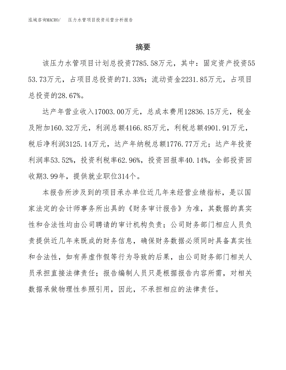 压力水管项目投资运营分析报告参考模板.docx_第2页