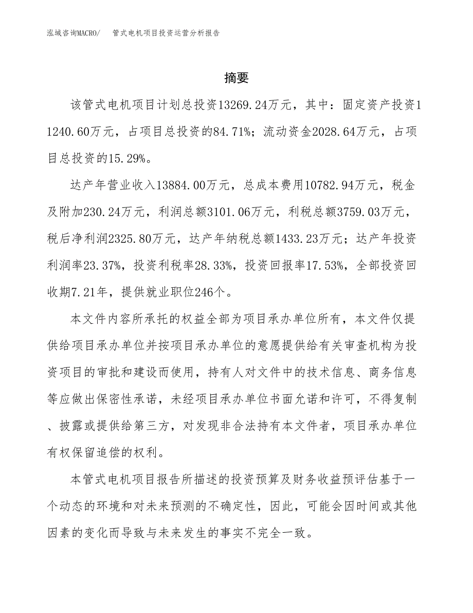 管式电机项目投资运营分析报告参考模板.docx_第2页