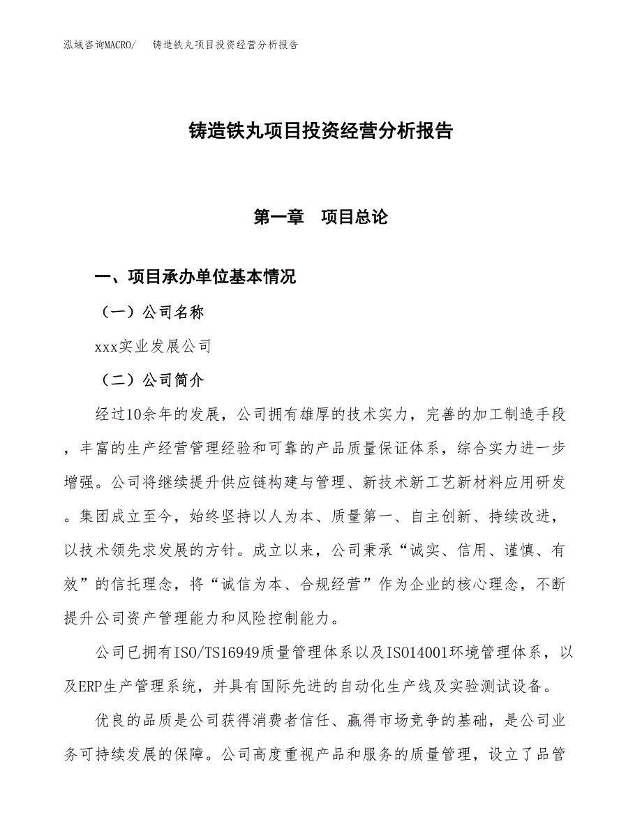 铸造铁丸项目投资经营分析报告模板.docx_第1页