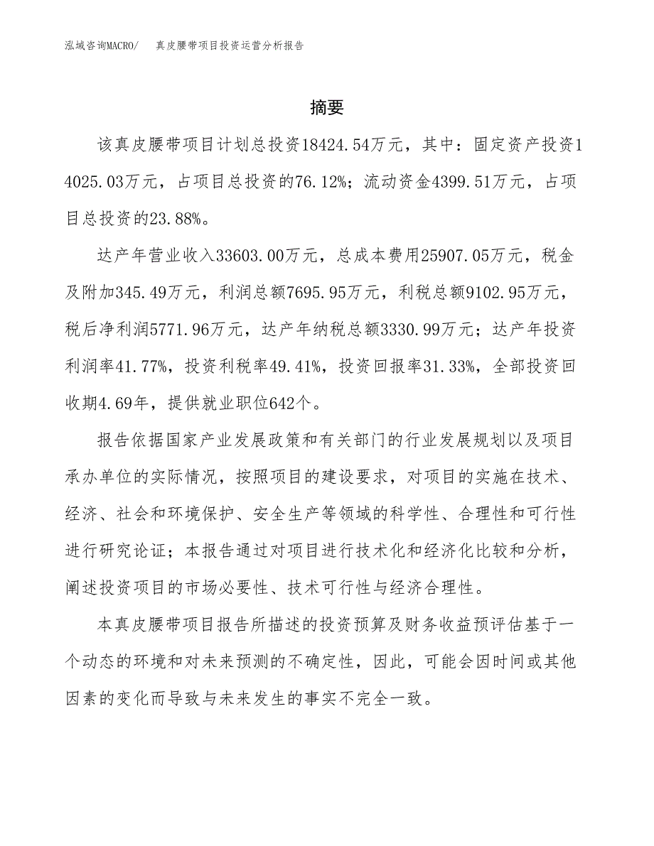 真皮腰带项目投资运营分析报告参考模板.docx_第2页