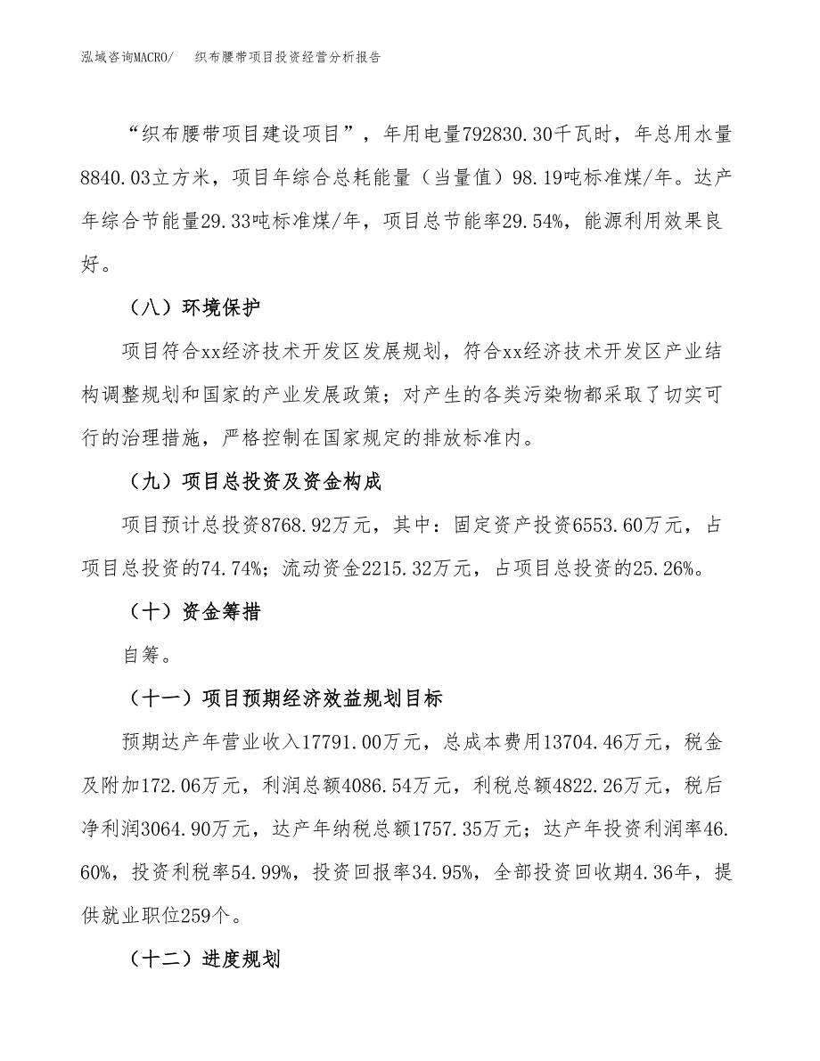 织布腰带项目投资经营分析报告模板.docx_第4页