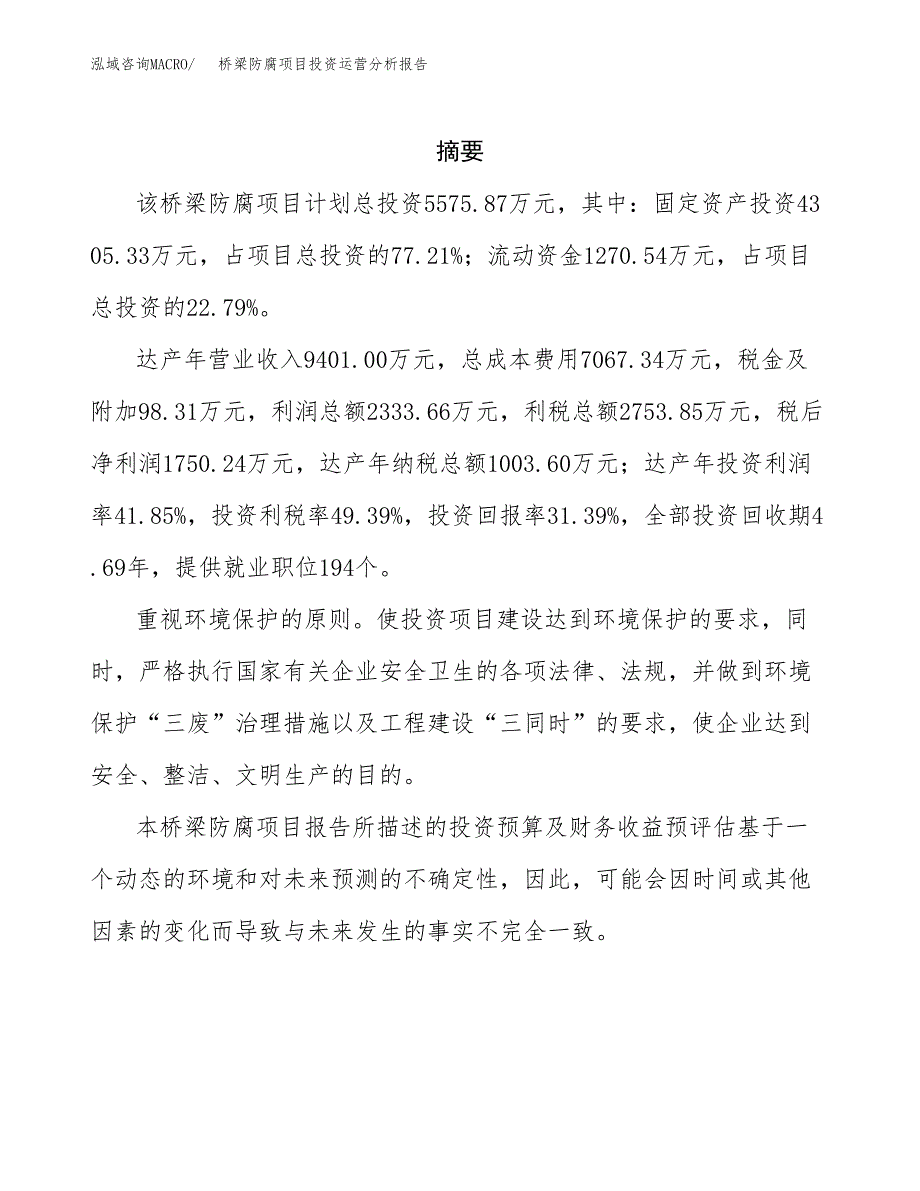 桥梁防腐项目投资运营分析报告参考模板.docx_第2页