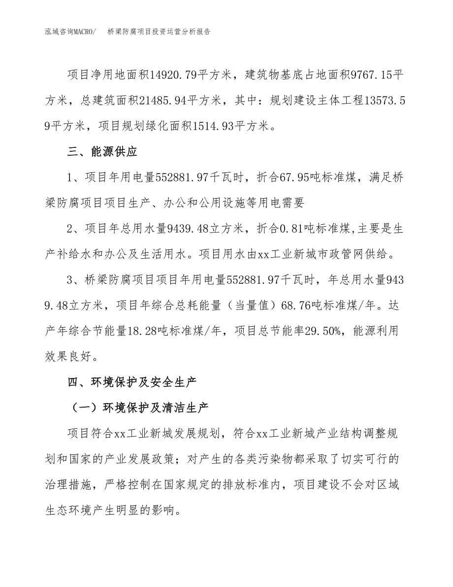 桥梁防腐项目投资运营分析报告参考模板.docx_第5页