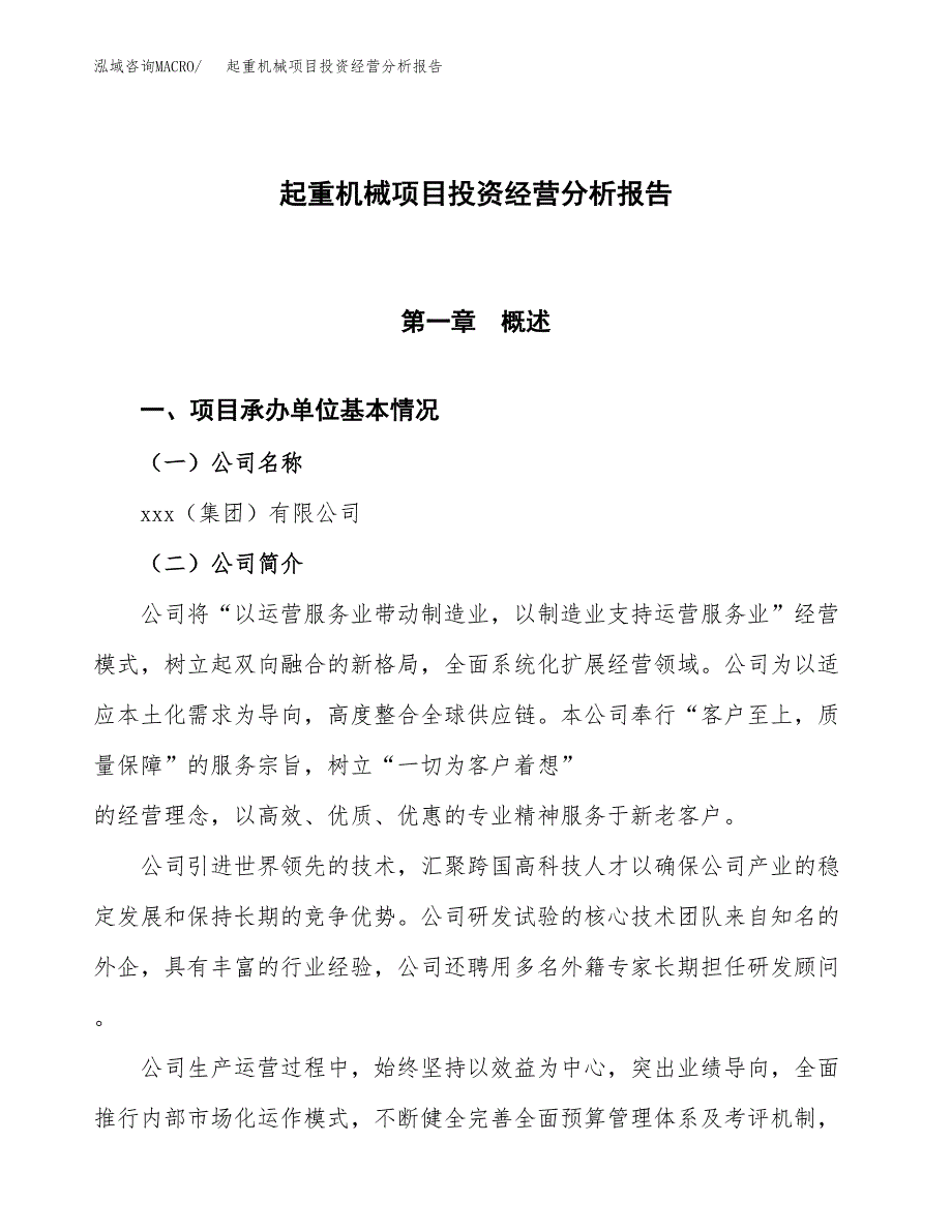 起重机械项目投资经营分析报告模板.docx_第1页