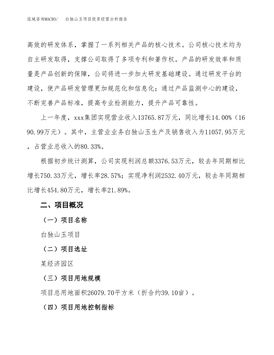 白独山玉项目投资经营分析报告模板.docx_第2页