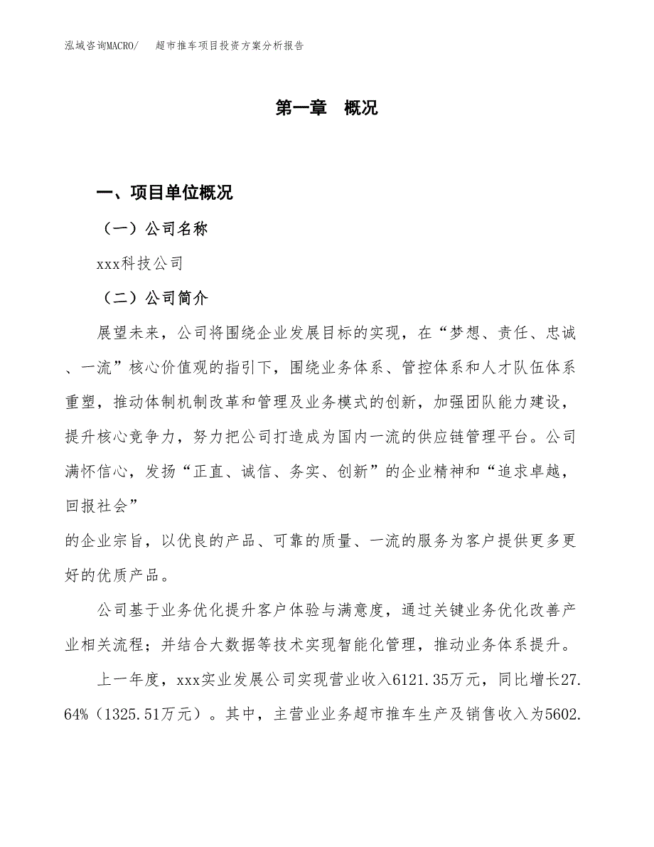 超市推车项目投资分析报告.docx_第1页