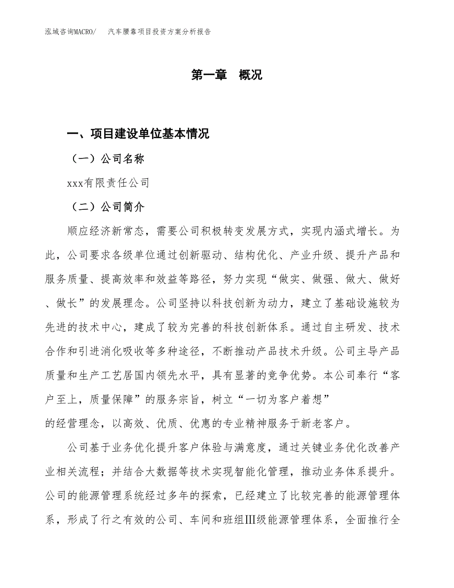 汽车腰靠项目投资方案分析报告.docx_第1页