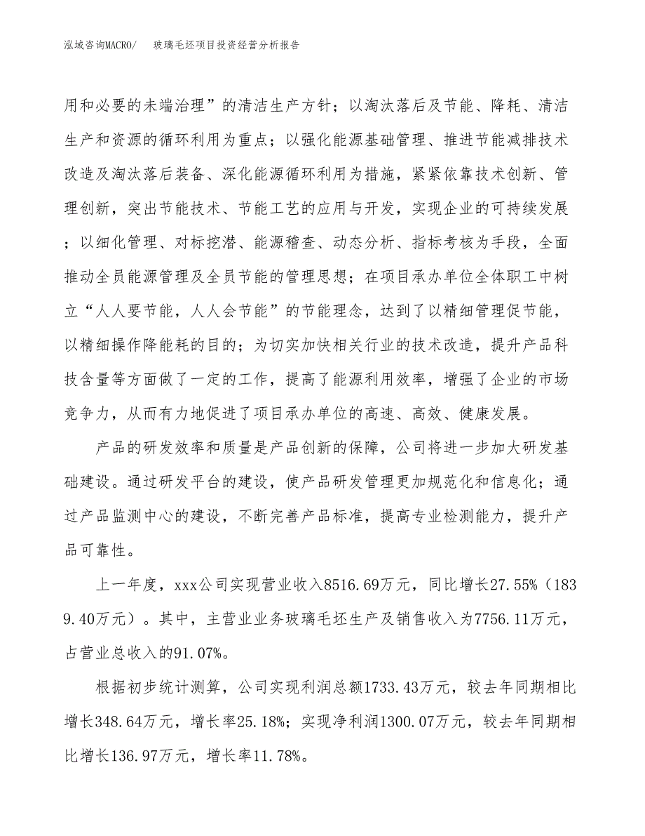 玻璃毛坯项目投资经营分析报告模板.docx_第2页