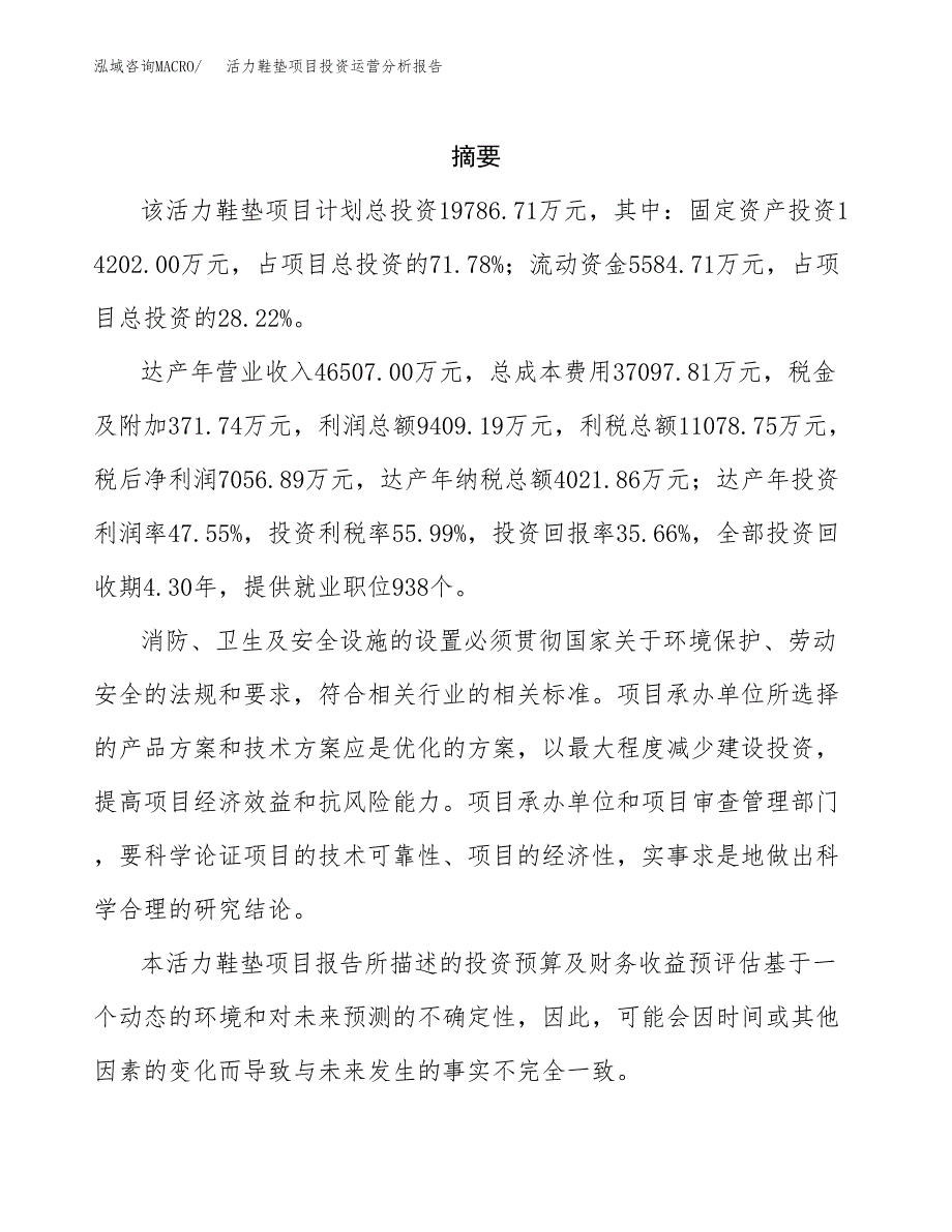 活力鞋垫项目投资运营分析报告参考模板.docx_第2页