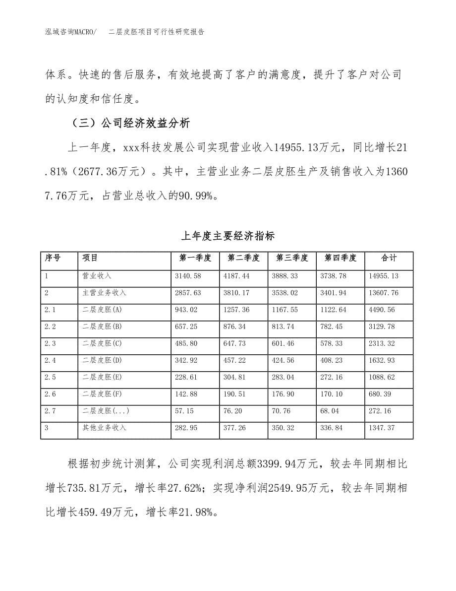 二层皮胚项目可行性研究报告汇报设计.docx_第5页