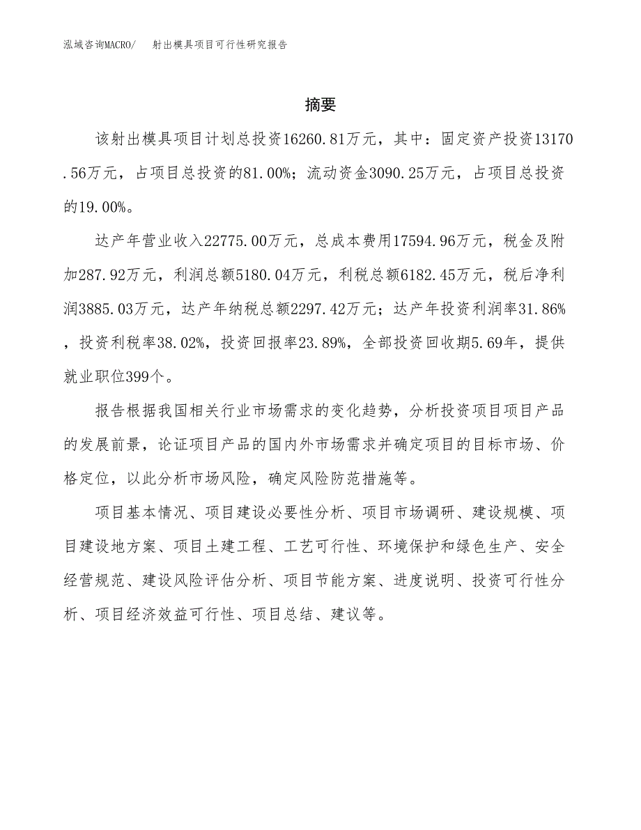 射出模具项目可行性研究报告汇报设计.docx_第2页