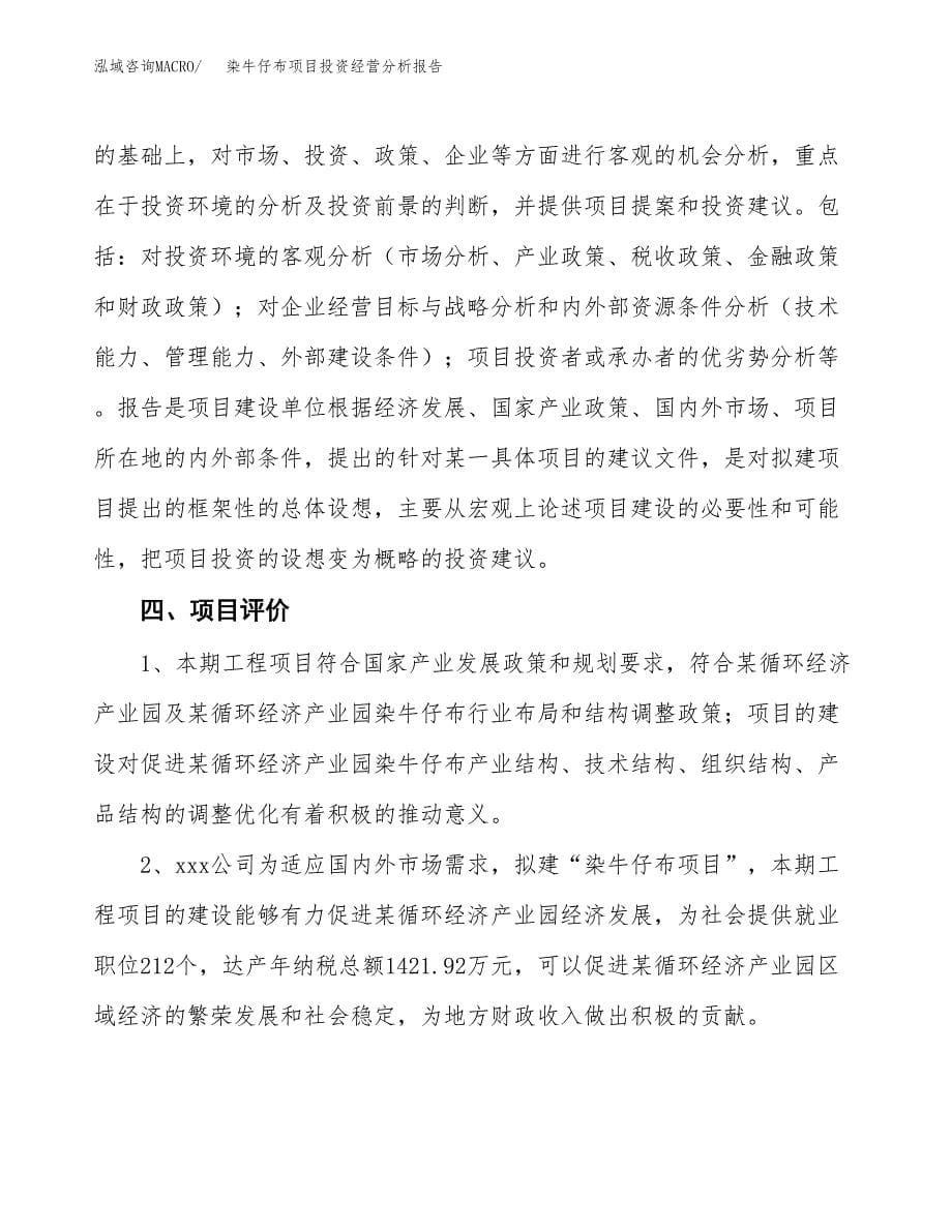 染牛仔布项目投资经营分析报告模板.docx_第5页