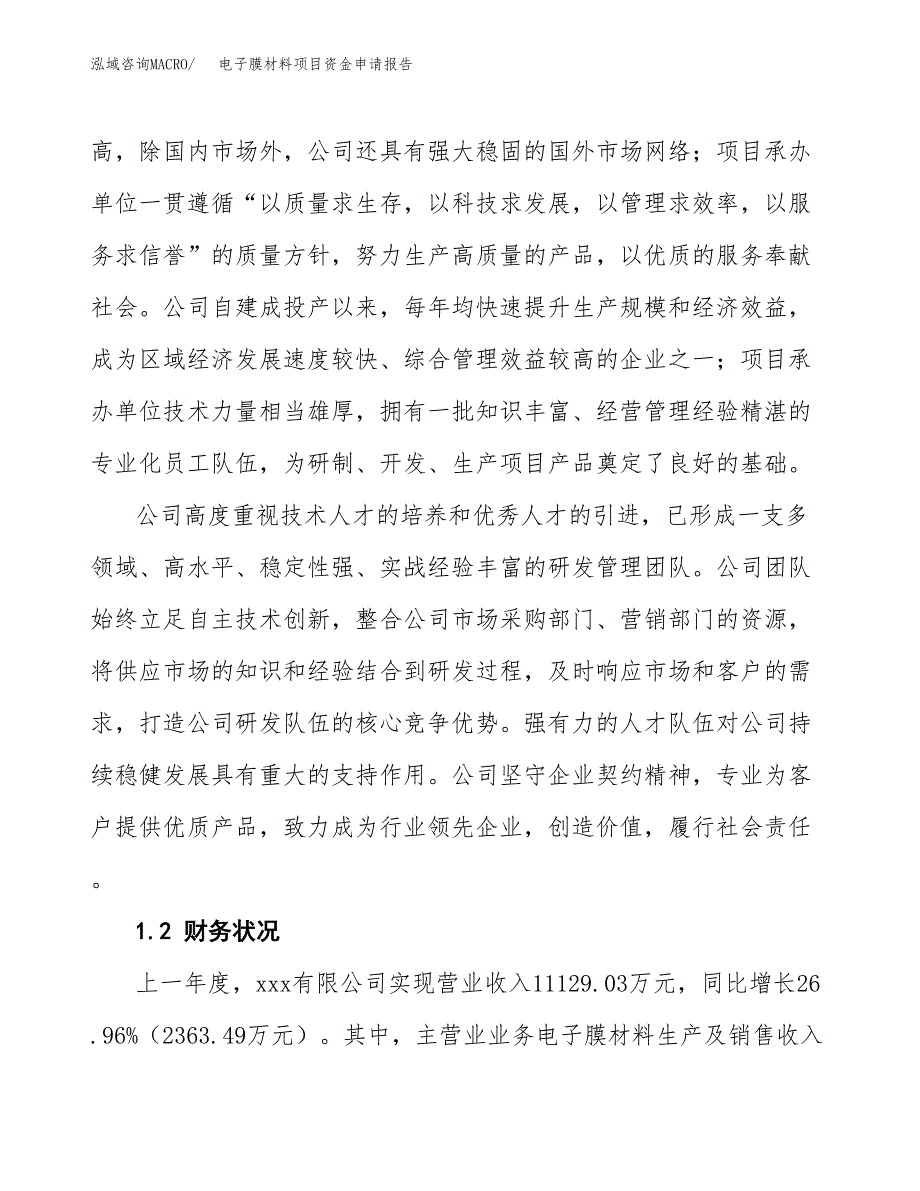 电子膜材料项目资金申请报告_第4页