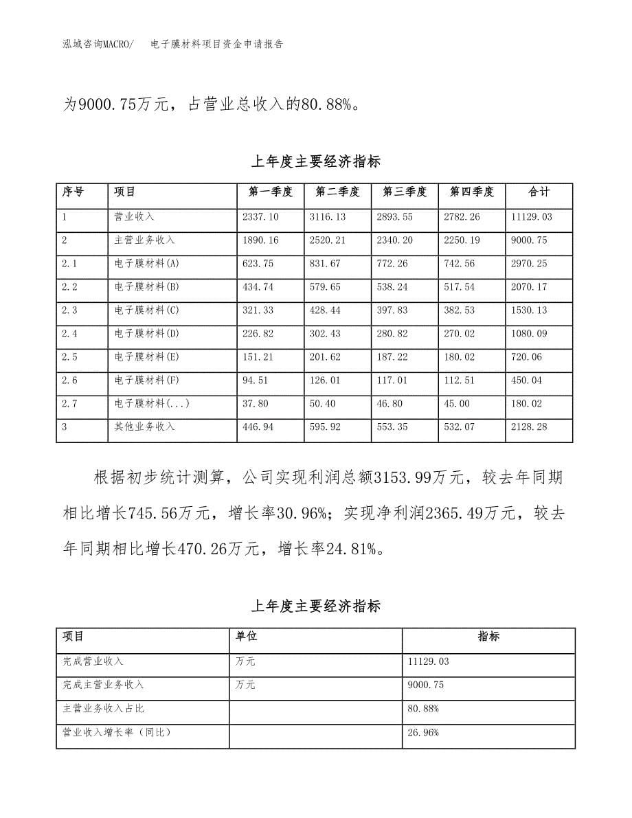 电子膜材料项目资金申请报告_第5页