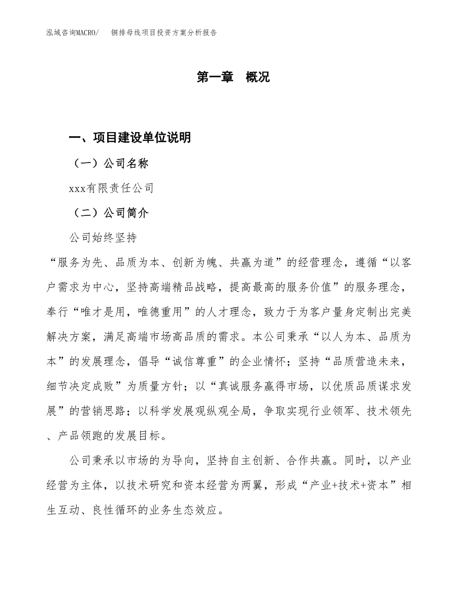 铜排母线项目投资方案分析报告.docx_第1页