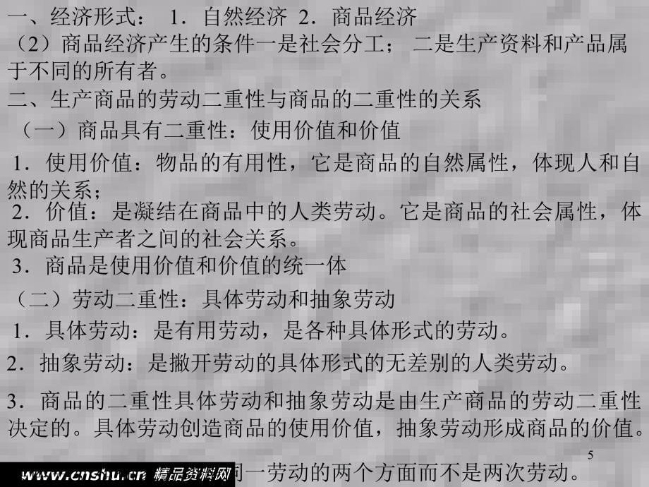 资本主义与政治经济学_第5页