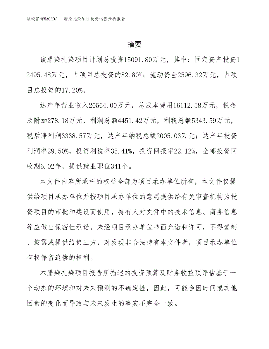 腊染扎染项目投资运营分析报告参考模板.docx_第2页