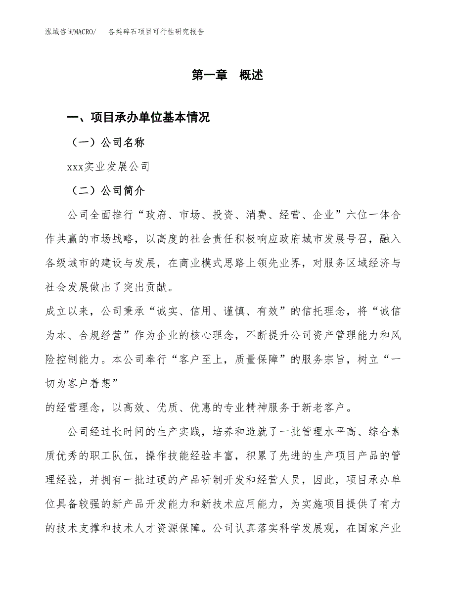 各类碎石项目可行性研究报告汇报设计.docx_第4页