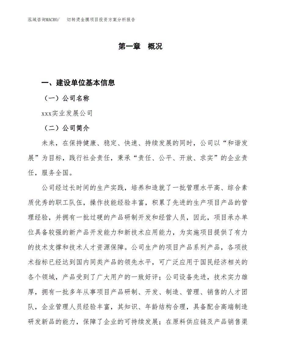 切转烫金膜项目投资方案分析报告.docx_第1页