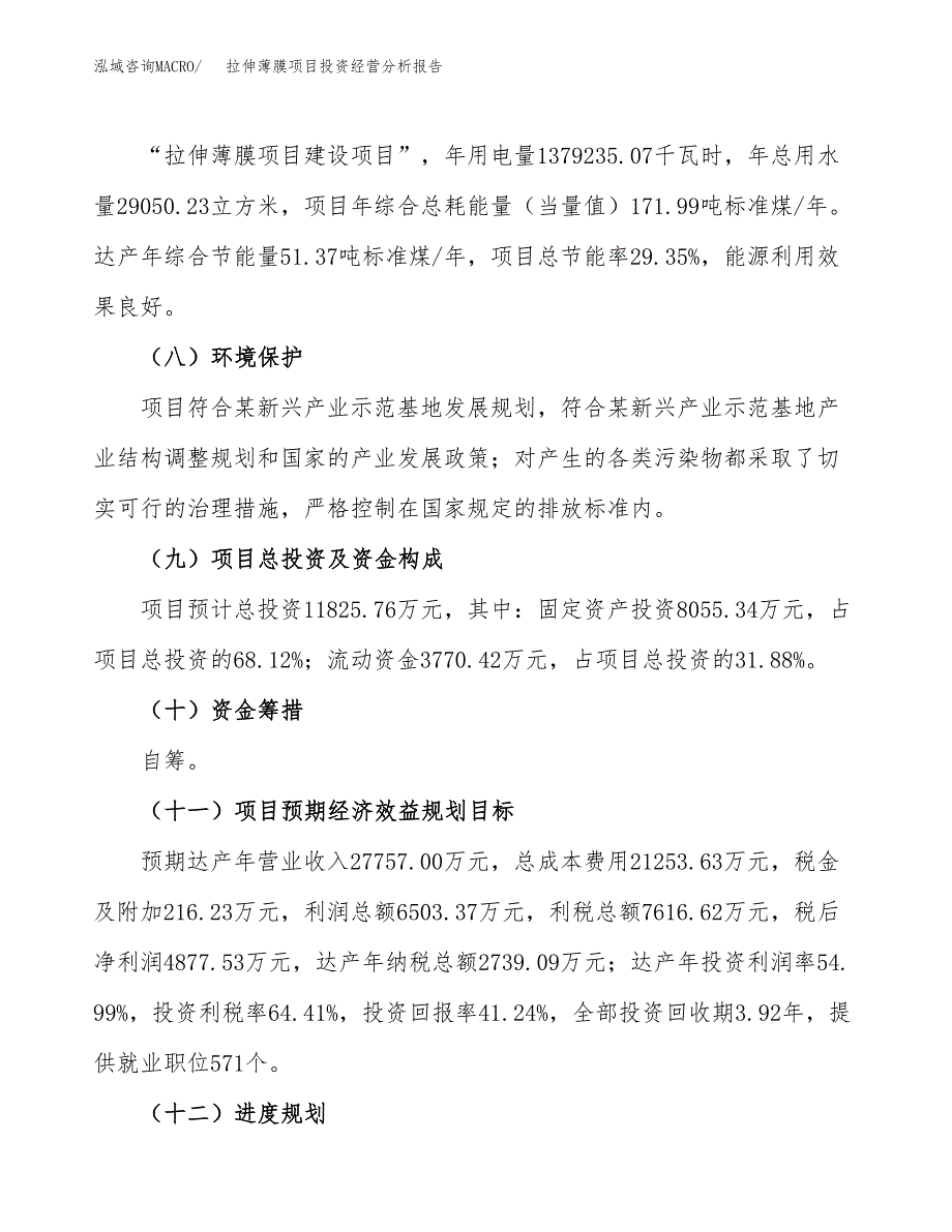 拉伸薄膜项目投资经营分析报告模板.docx_第4页