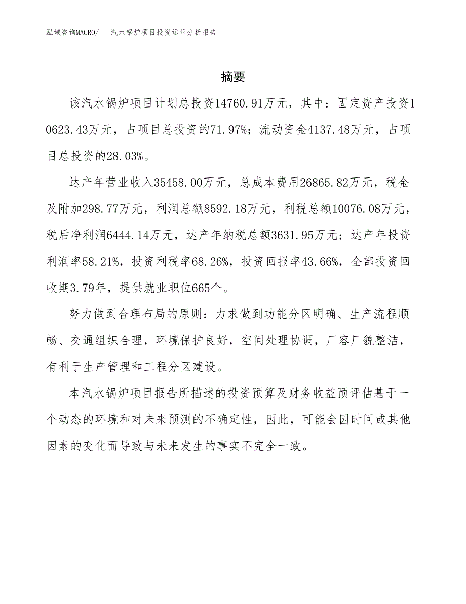 汽水锅炉项目投资运营分析报告参考模板.docx_第2页