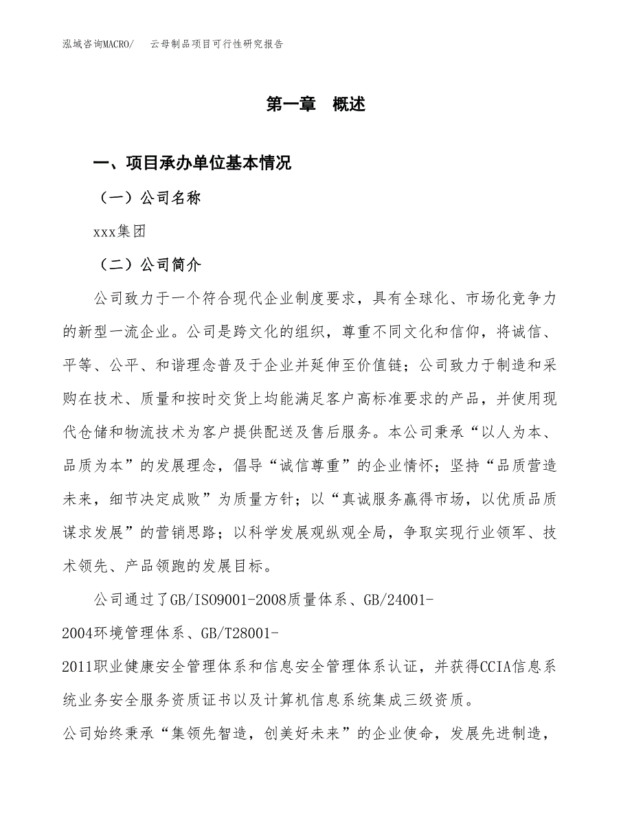 云母制品项目可行性研究报告汇报设计.docx_第4页