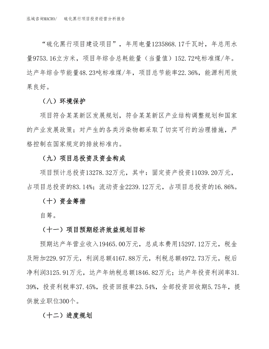 硫化黑行项目投资经营分析报告模板.docx_第4页