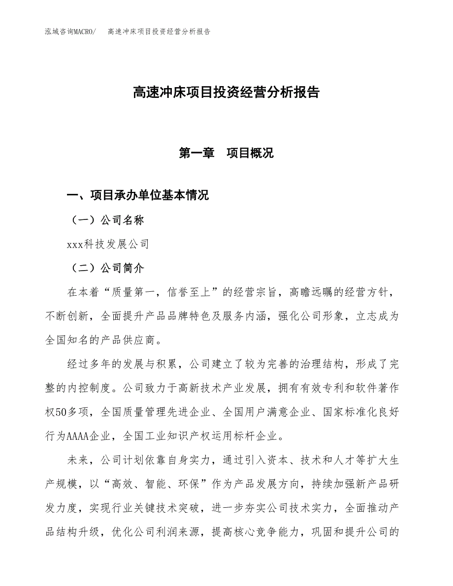 高速冲床项目投资经营分析报告模板.docx_第1页