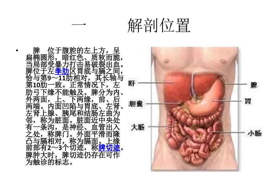 脾切除术病人的护理._第2页