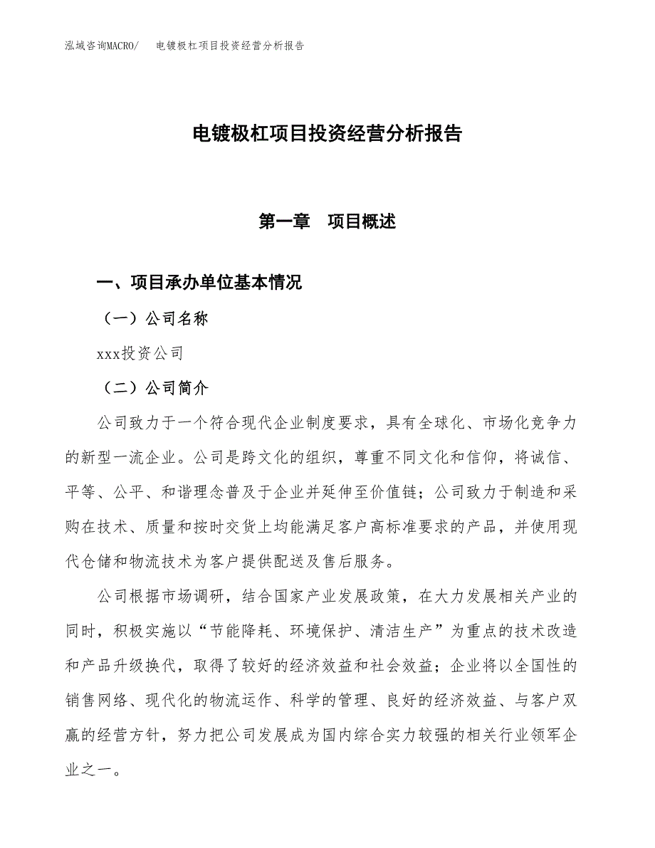 电镀极杠项目投资经营分析报告模板.docx_第1页