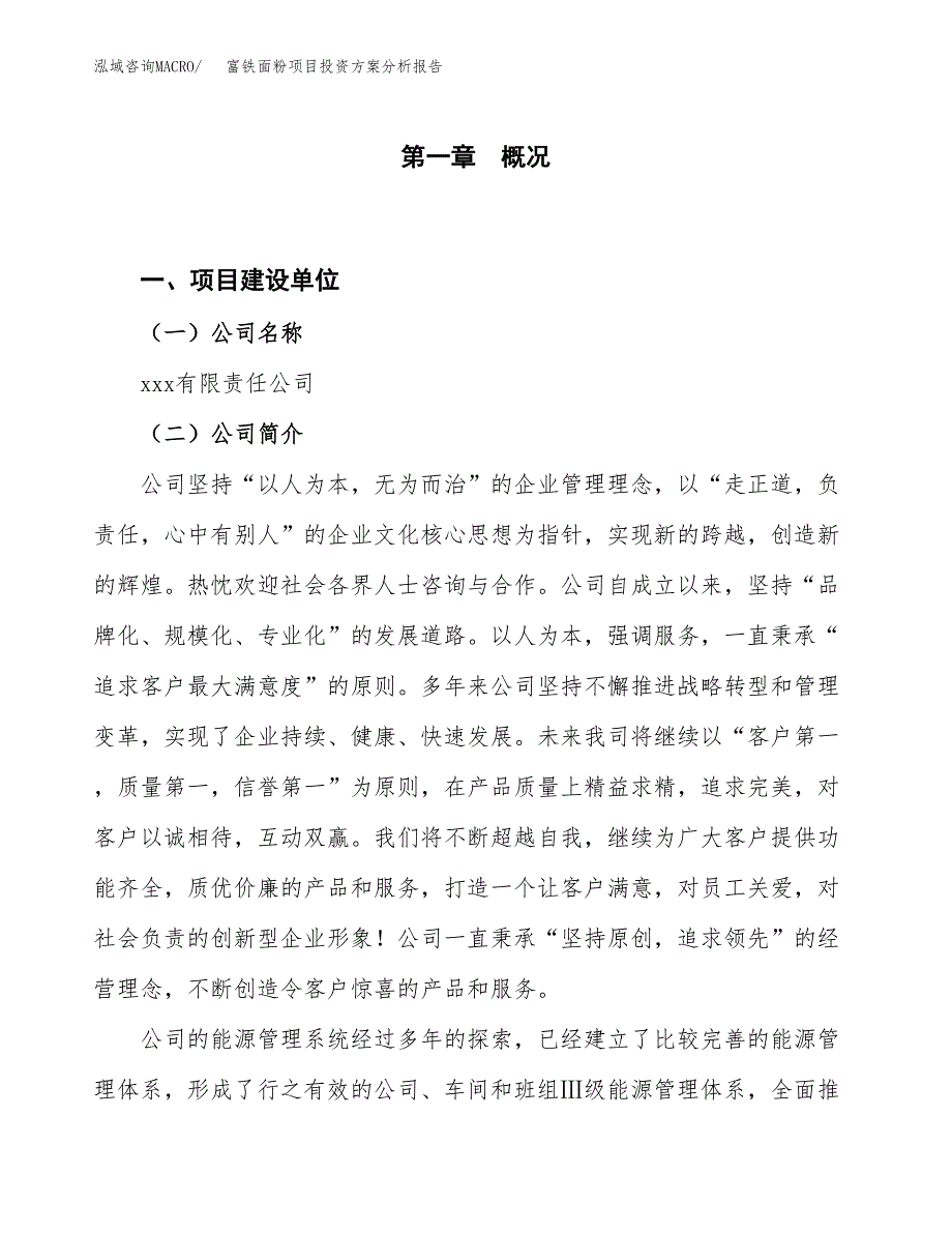 富铁面粉项目投资方案分析报告.docx_第1页