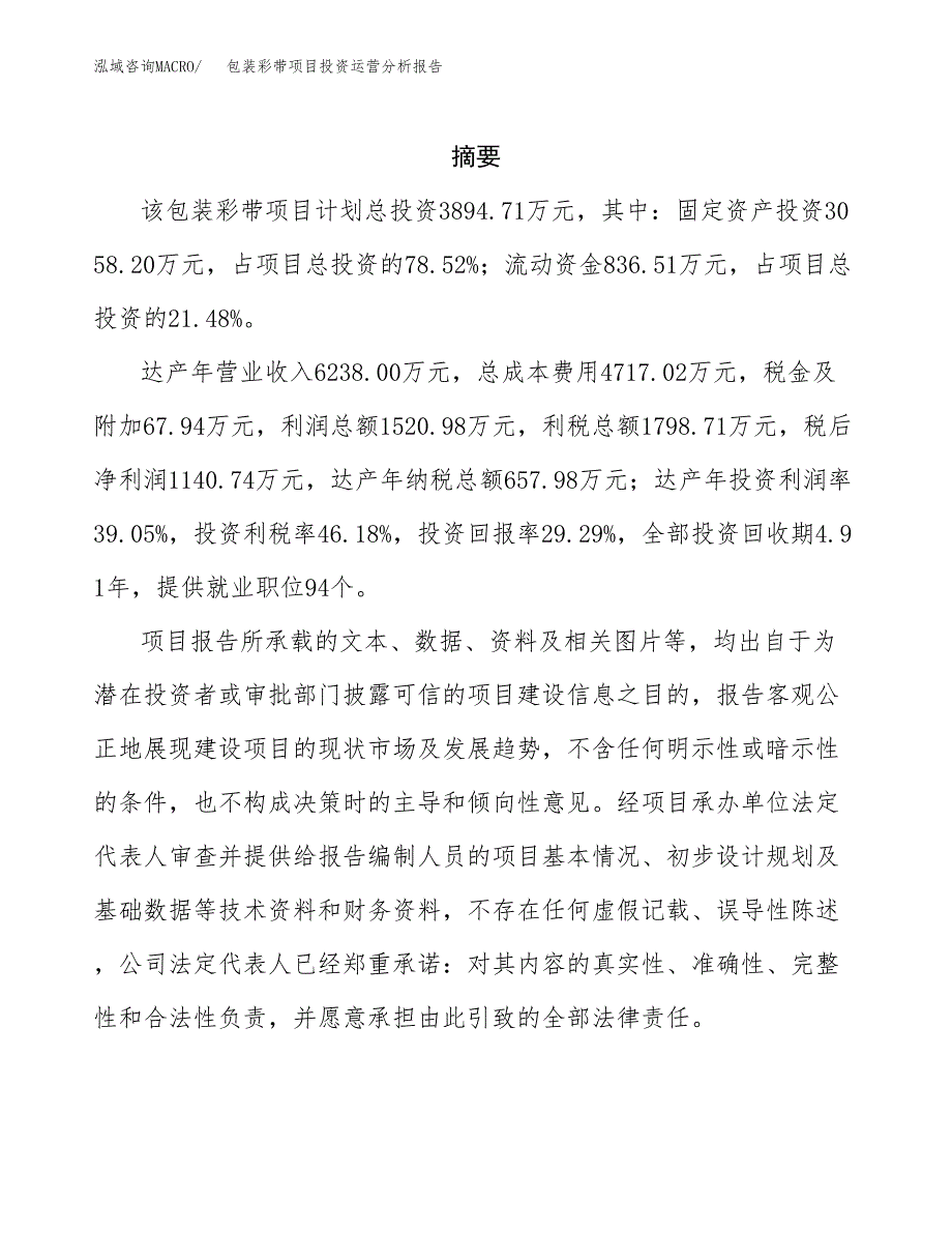 包装彩带项目投资运营分析报告参考模板.docx_第2页