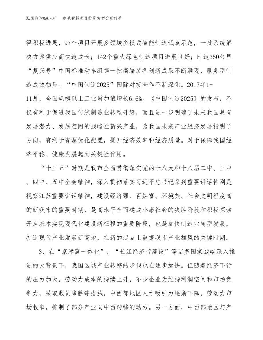 睫毛膏料项目投资方案分析报告.docx_第5页