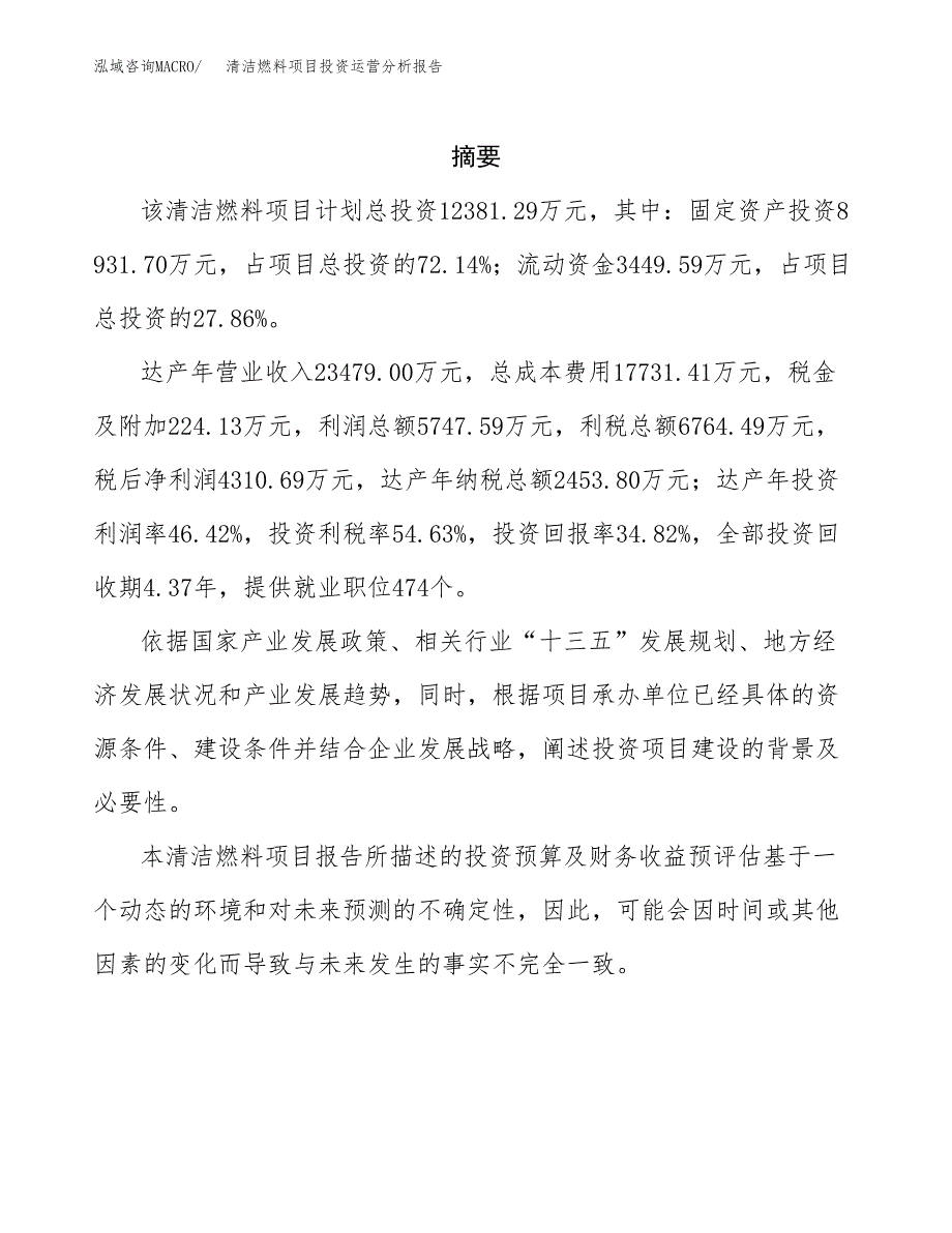 清洁燃料项目投资运营分析报告参考模板.docx_第2页