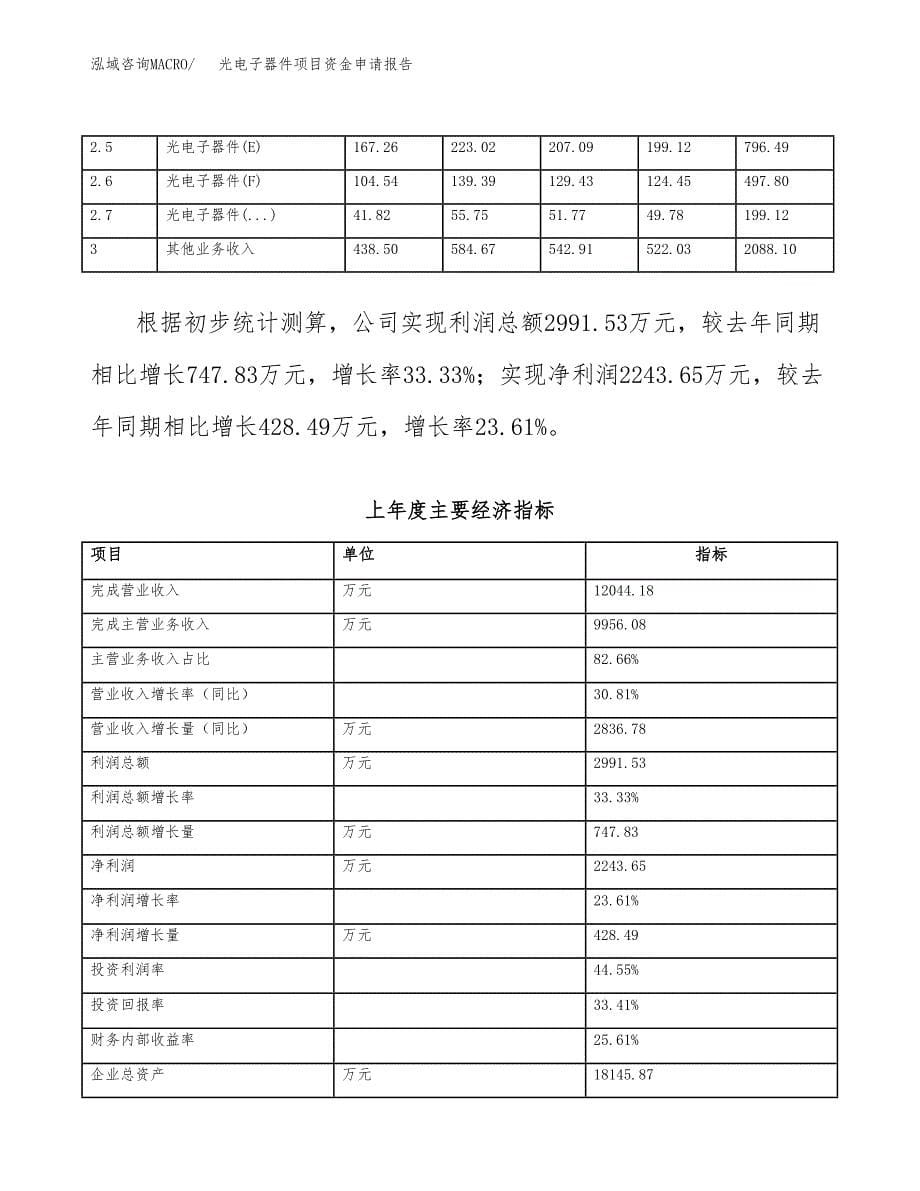 光电子器件项目资金申请报告_第5页