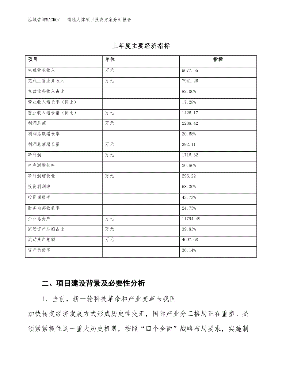 铺毯大撑项目投资方案分析报告.docx_第3页