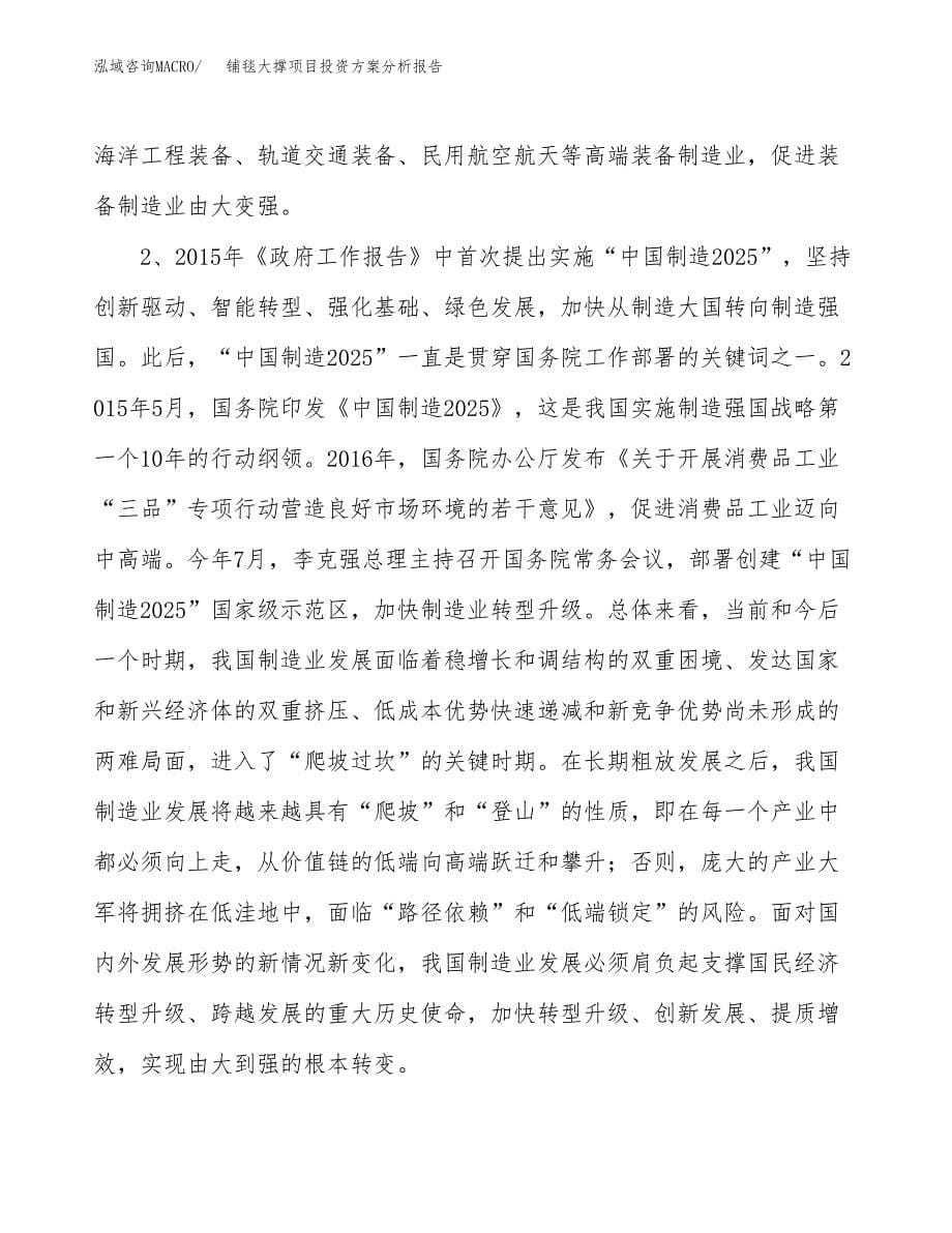 铺毯大撑项目投资方案分析报告.docx_第5页