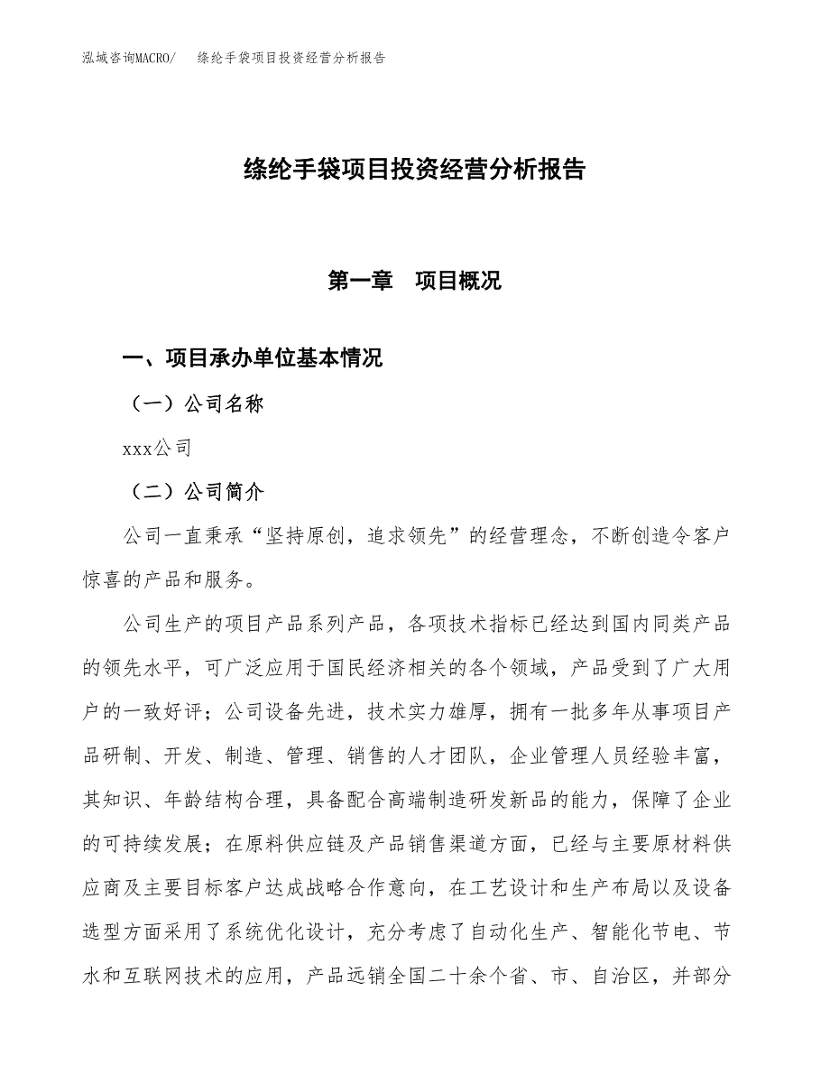 绦纶手袋项目投资经营分析报告模板.docx_第1页