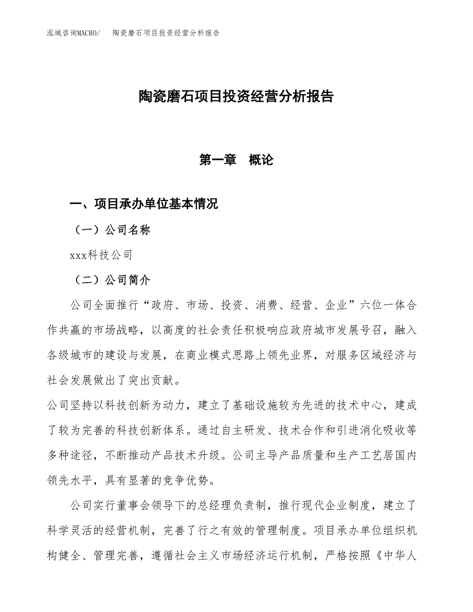 陶瓷磨石项目投资经营分析报告模板.docx_第1页